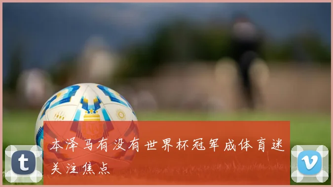 本泽马有没有世界杯冠军成体育迷关注焦点