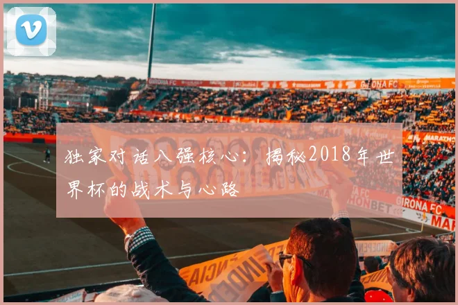 独家对话八强核心：揭秘2018年世界杯的战术与心路